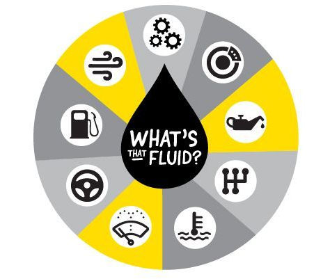 Your Car Fluids