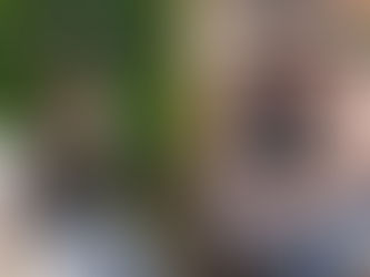 Von der Reaktion zur Gestaltung: Wie Sie als Sandwich-Manager die Kontrolle zurückgewinnen