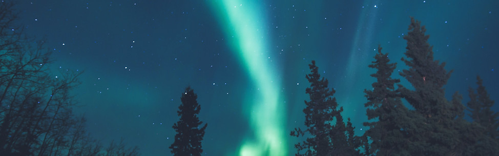 leonard-laub-X8Dc_8rXZHA-unsplash_edited