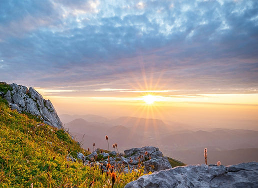 christof-grossfurtner-caEtH77wbVg-unsplash_edit2.jpg