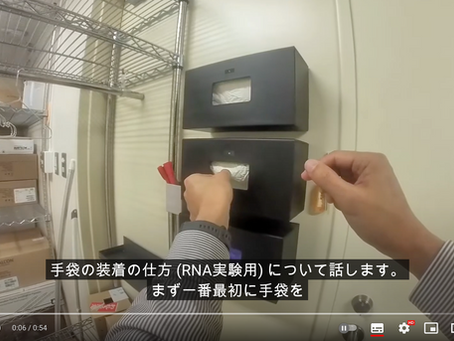 微量RNA用の基本操作について