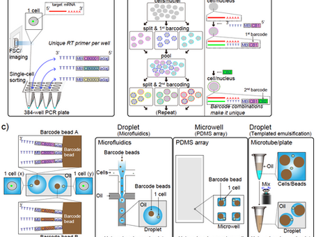 1細胞RNA-seqのためのCell barcoding技術の再まとめ