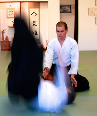 Japanese Martial Art Aikido Ann Arbor Michgan