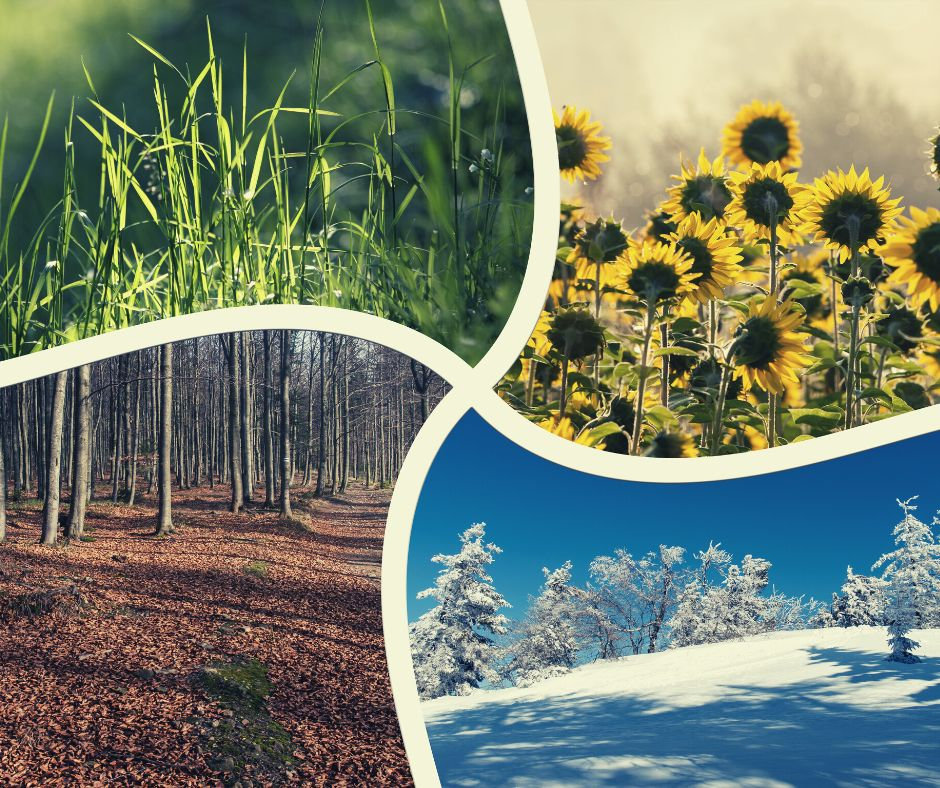 Trips for Every Season – Where to Go in Spring, Summer, Fall & Winter