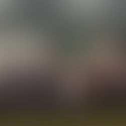 Newsletter 14 - June 4th 2021