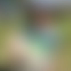 Newsletter 32 - October 31st 2025