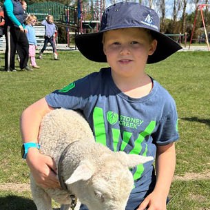 Newsletter 32 - October 31st 2025