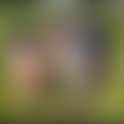 Newsletter 31 - November 6th 2020