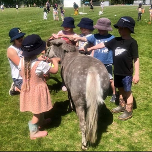 Newsletter 31 - November 6th 2020