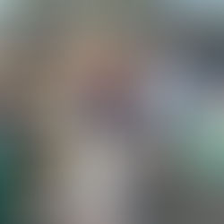 Newsletter 27 - September 13th 2024