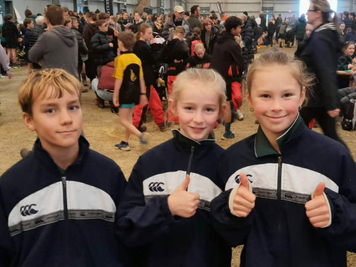 Newsletter 17 - June 19th 2026