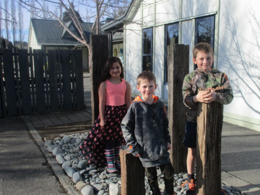 Newsletter 19 - July 24th 2020