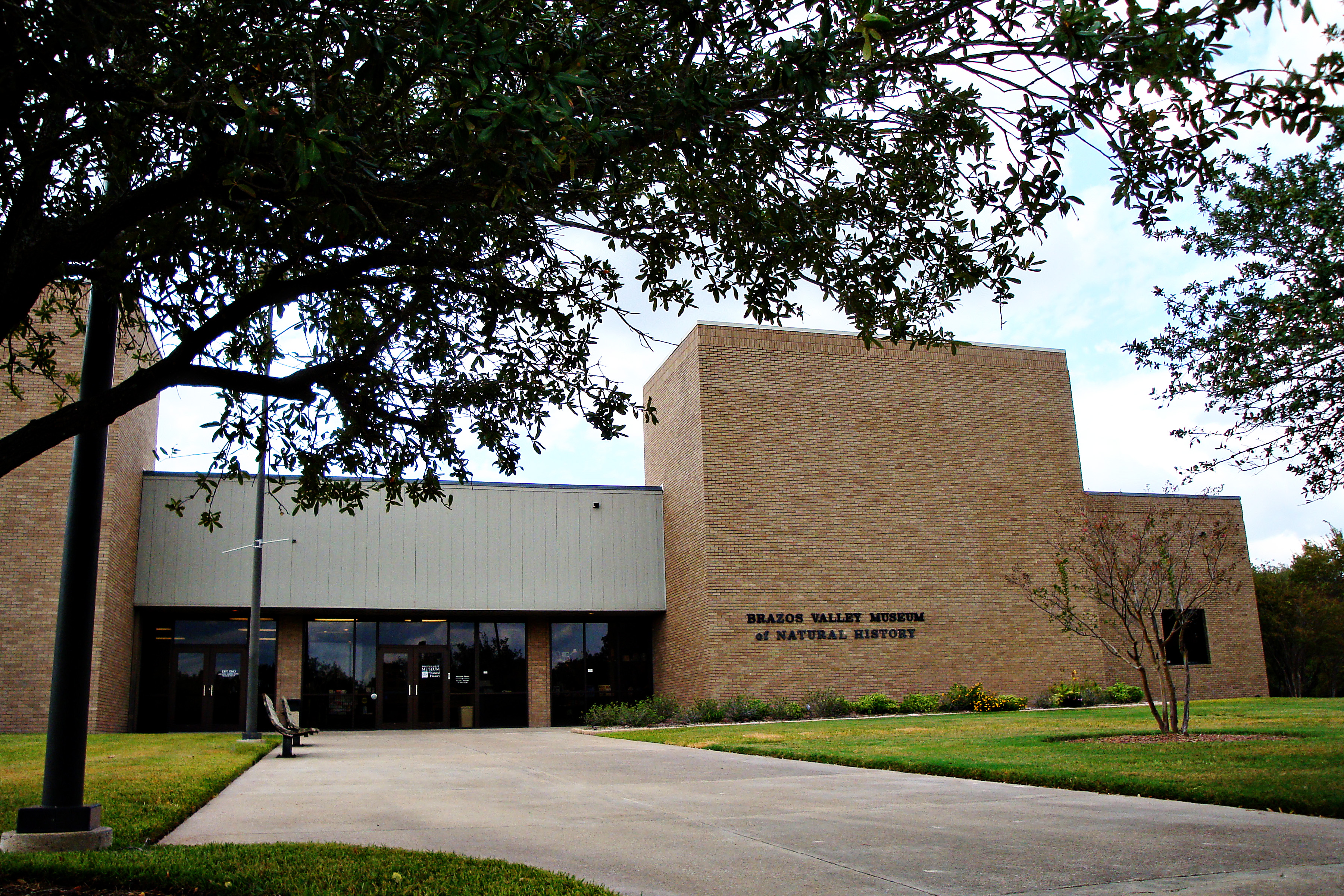 Museum feature highlight