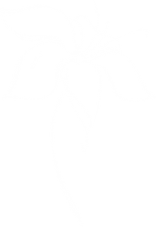 NOVA illustration_Flower_1Col_White.png