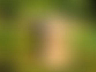 Sustainable Building Construction