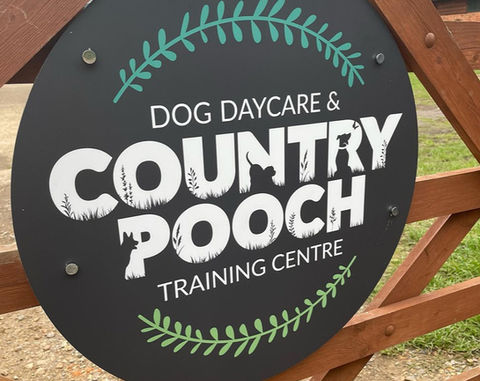 COUNTY POOCH16_edited.jpg