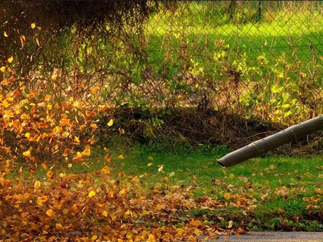 How Sustainable are Leaf Blowers?