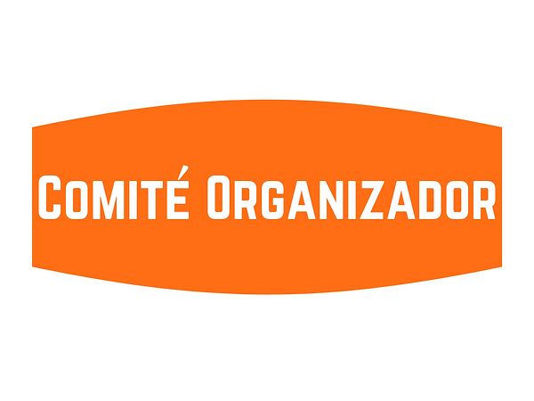 CIVDE 2019 (10).png
