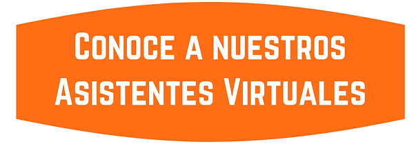 CIVDE 2019 (5).png