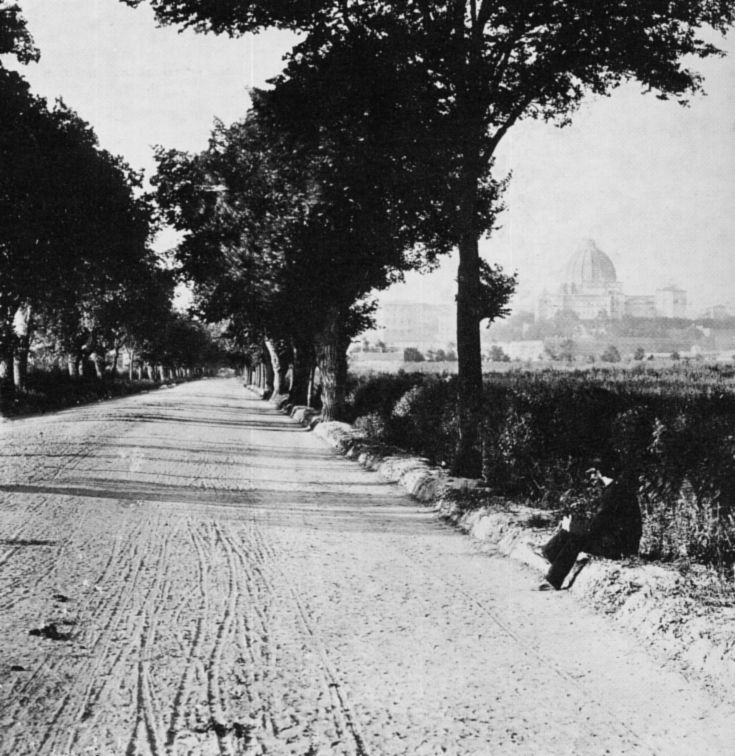 VIALE ANGELICO
