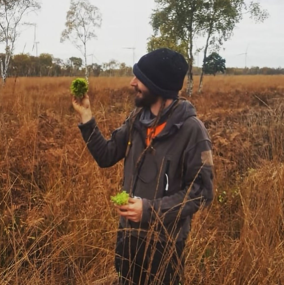 Research proposal on environmental management picture