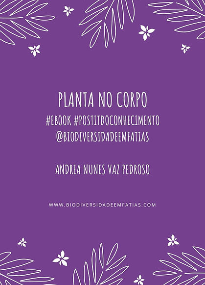 capa dos ebook (1).jpg