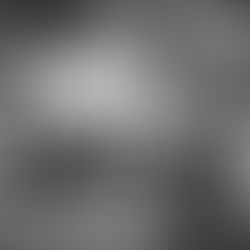           The South Has Something to Say 