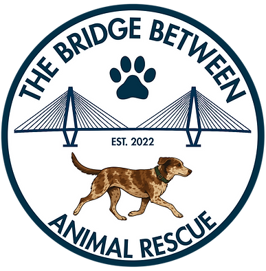 BBAR New Logo (Round).png