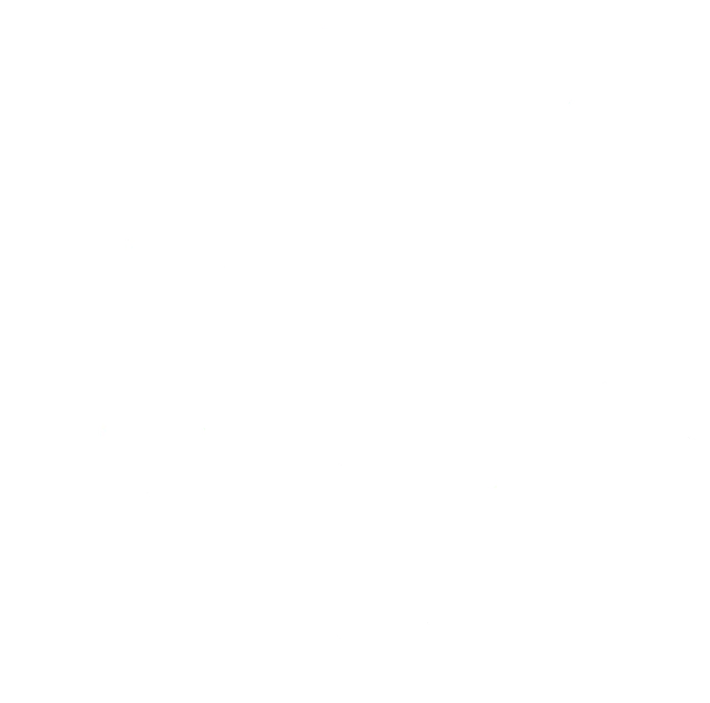 opal logo.webp