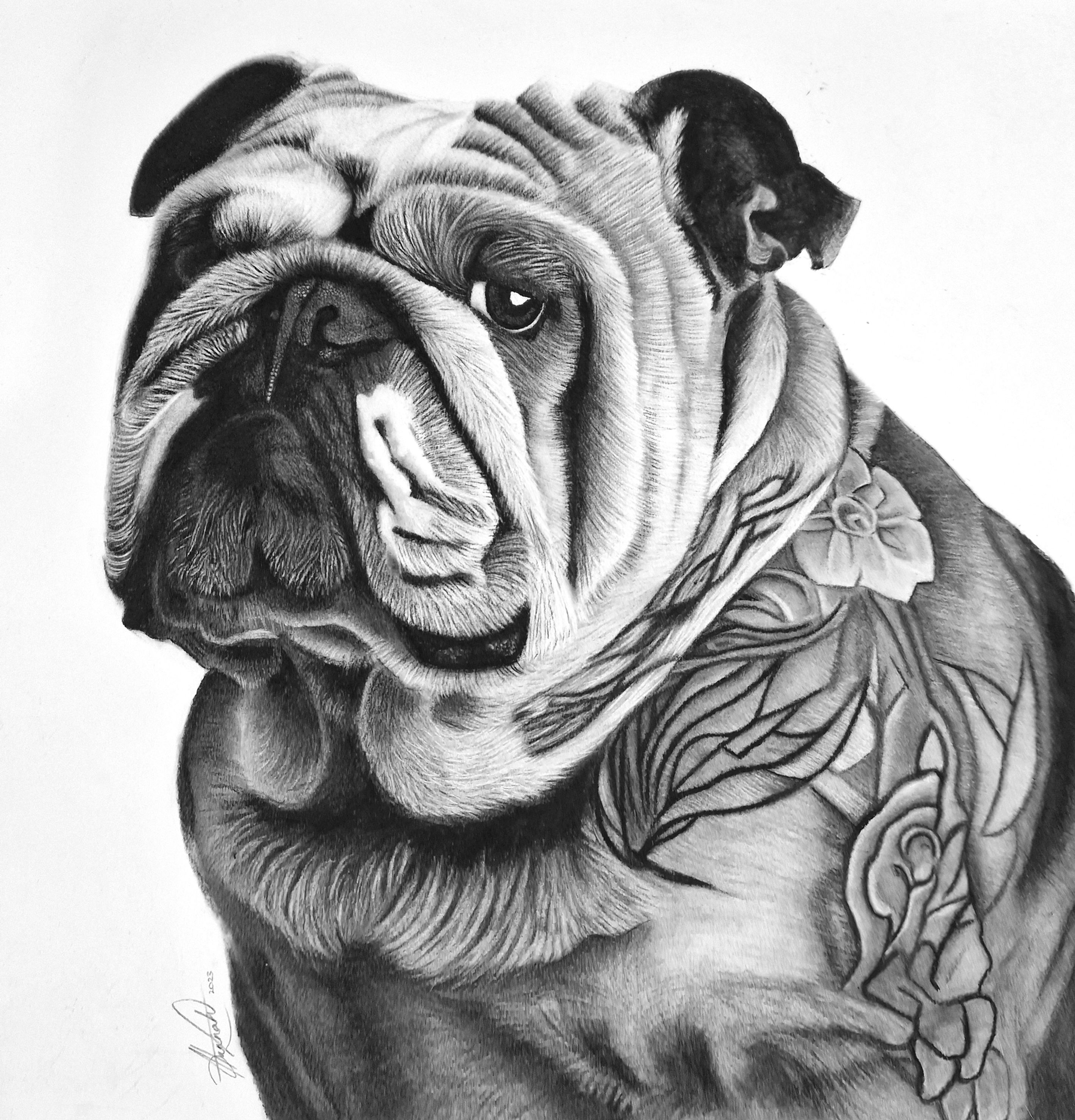 Loyal - Limited Edition