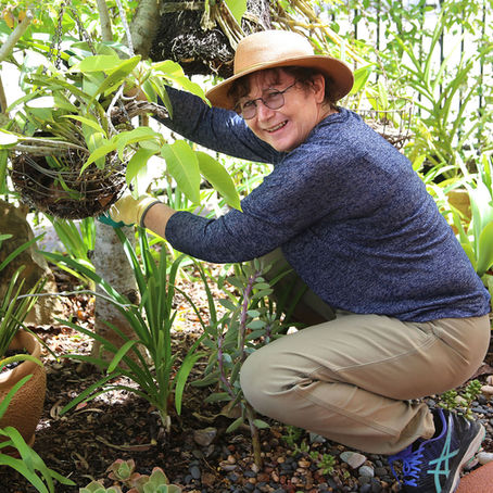 Working Bee Dhammagiri Volunteer