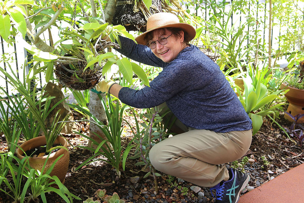 Volunteer at Working Bee Dhammagiri