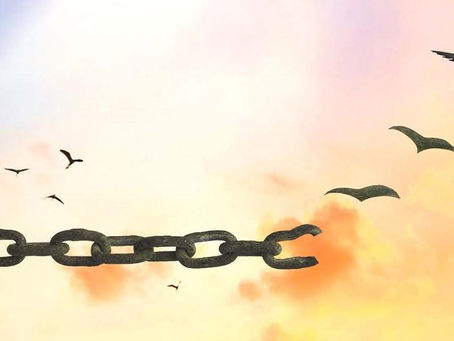 LA LEGGE DEL DISTACCO EMOTIVO