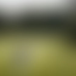 ANNA & BRAD | KNOLLWOOD GOLF COURSE | AUGUST 18, 2018