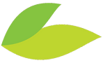 banner-leaves-large_edited.png