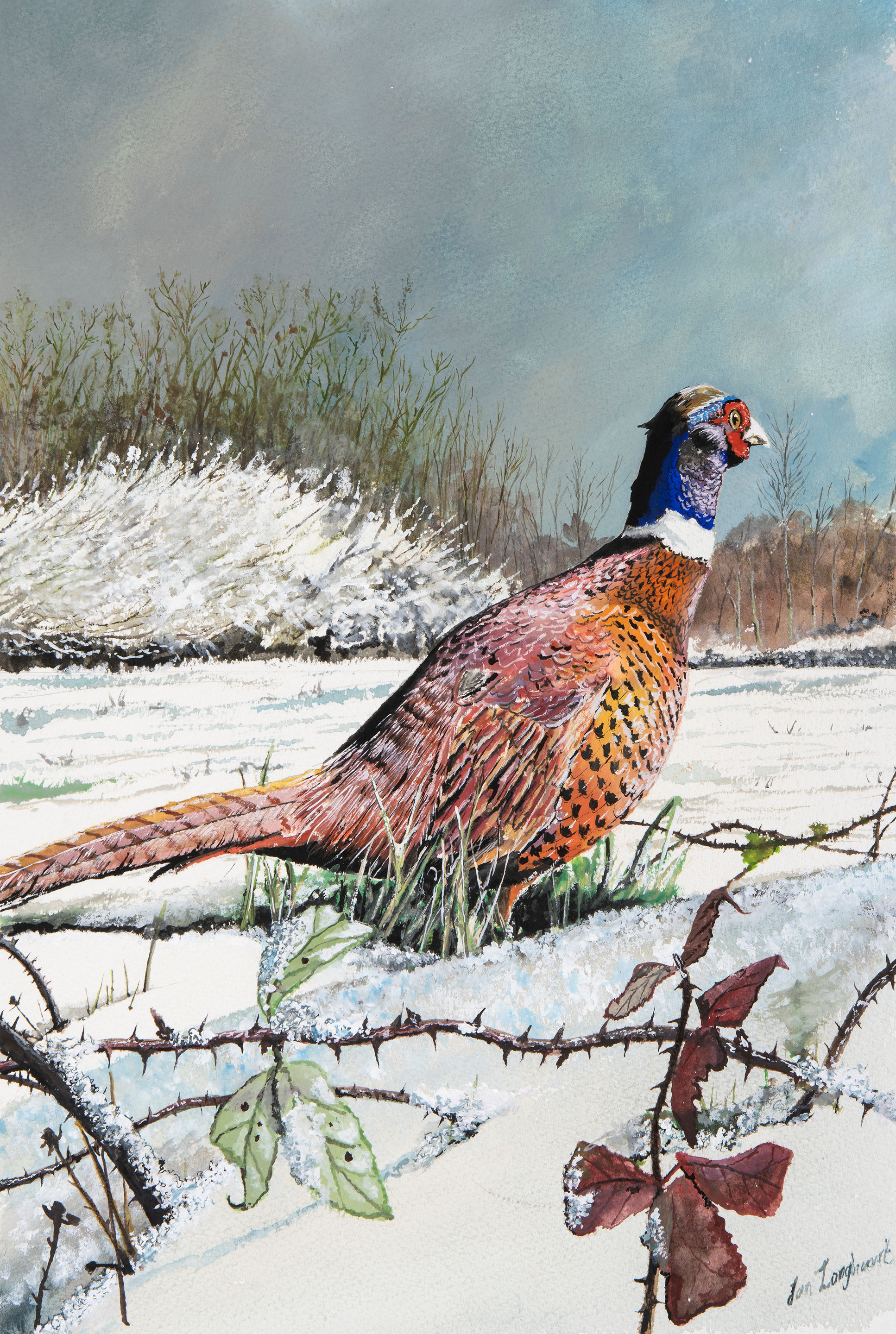 Pheasant