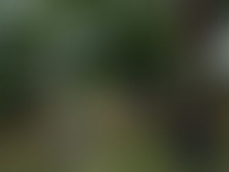 heavy wild release the passionate new single ‘Death Dreams’