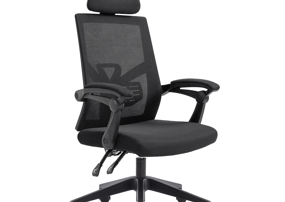 Bürostuhl Kippbar DOMINUS schwarz