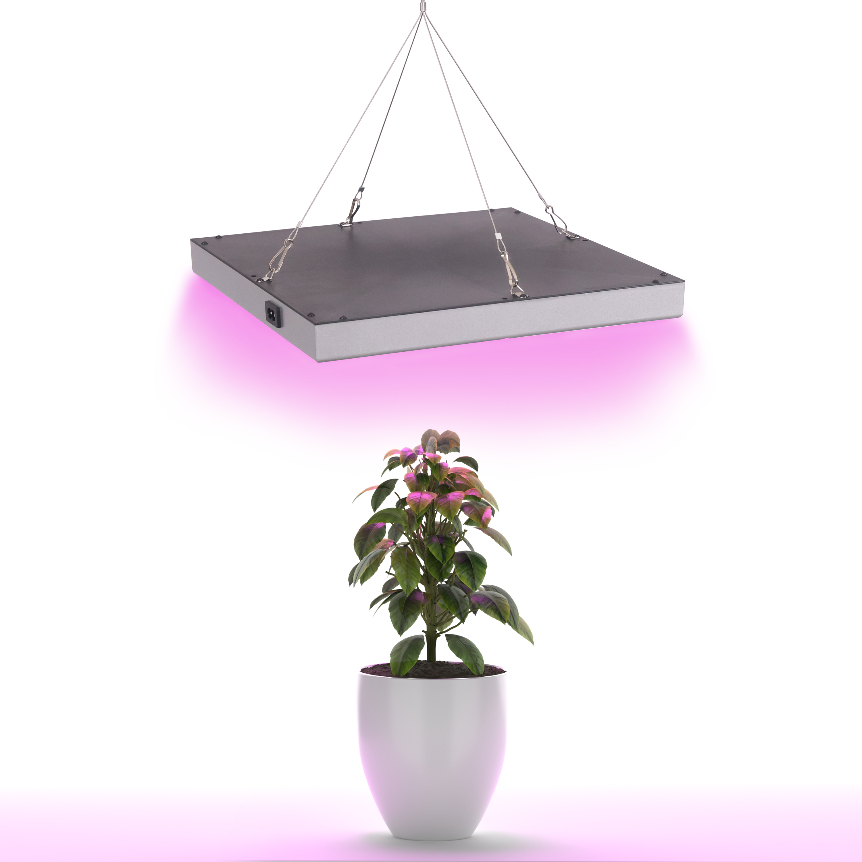 LED Pflanzenlampe 31 x 31 cm rot/blau