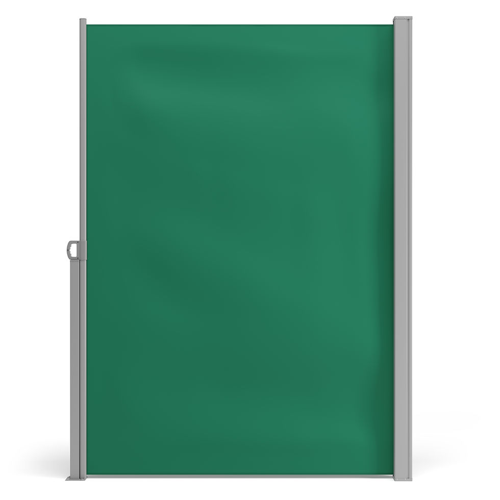 Seitenmarkise 200 x 300 cm grün