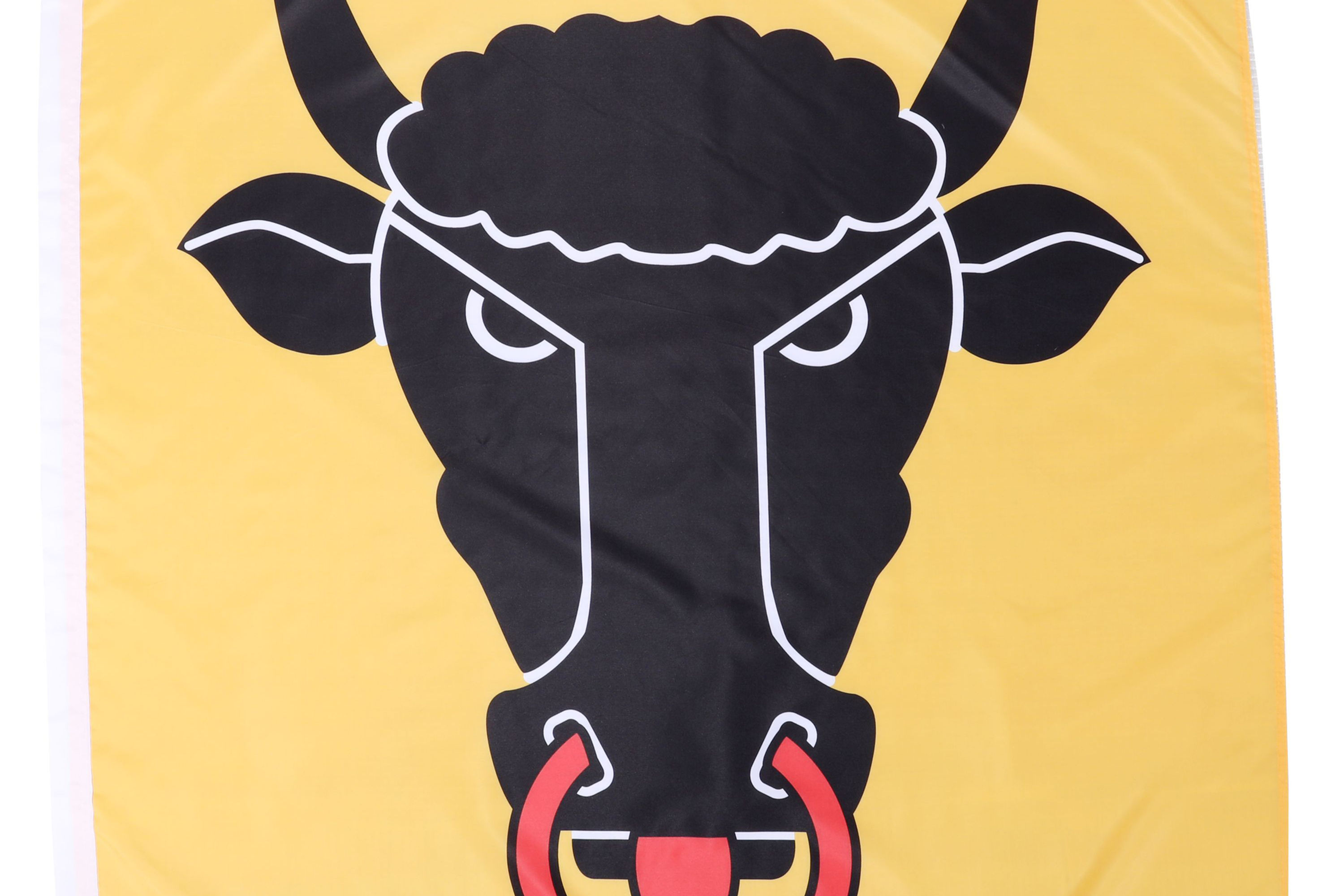Kantonsflagge Uri 120 x 120 cm