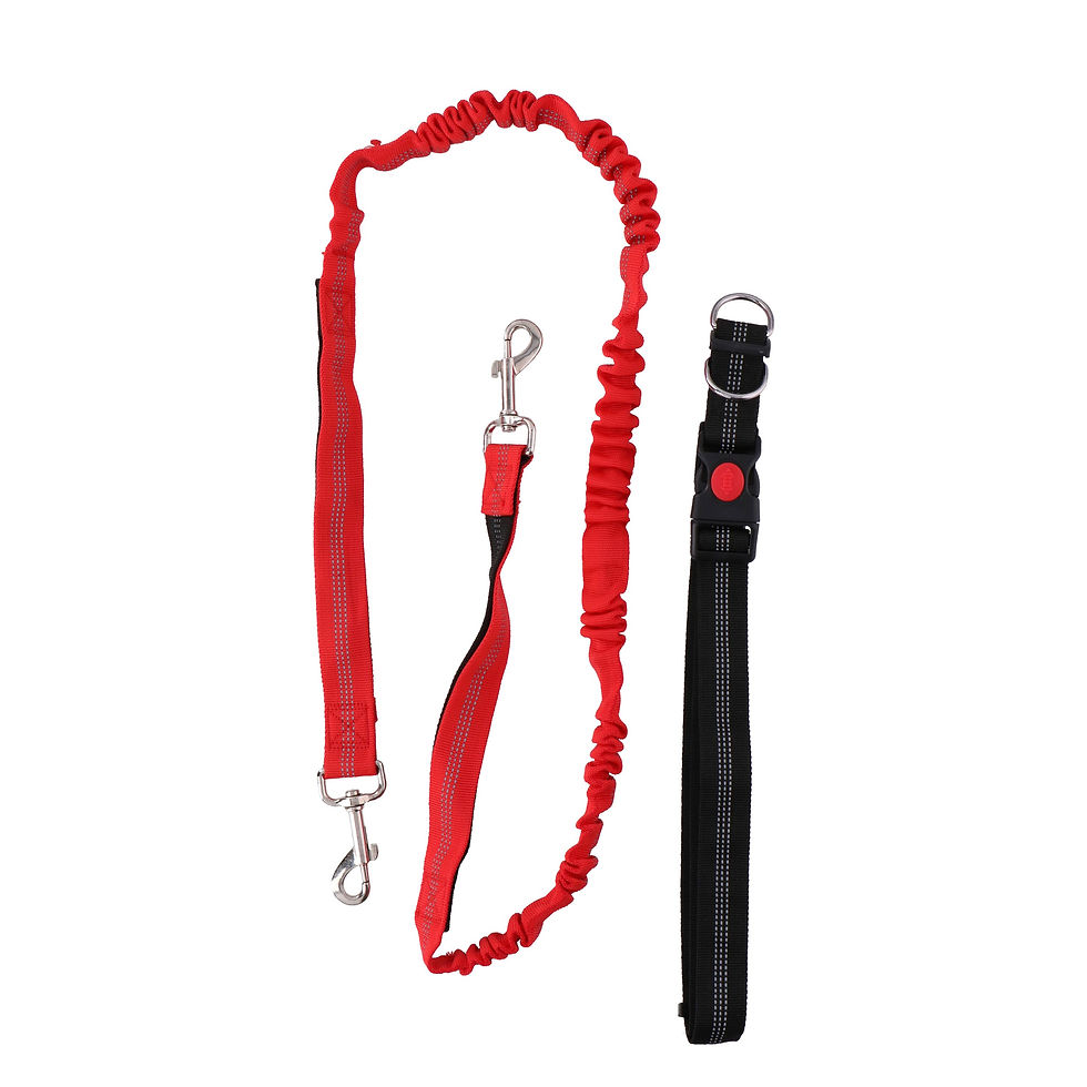 Joggingleine mit Bauchgurt 160 - 190 cm