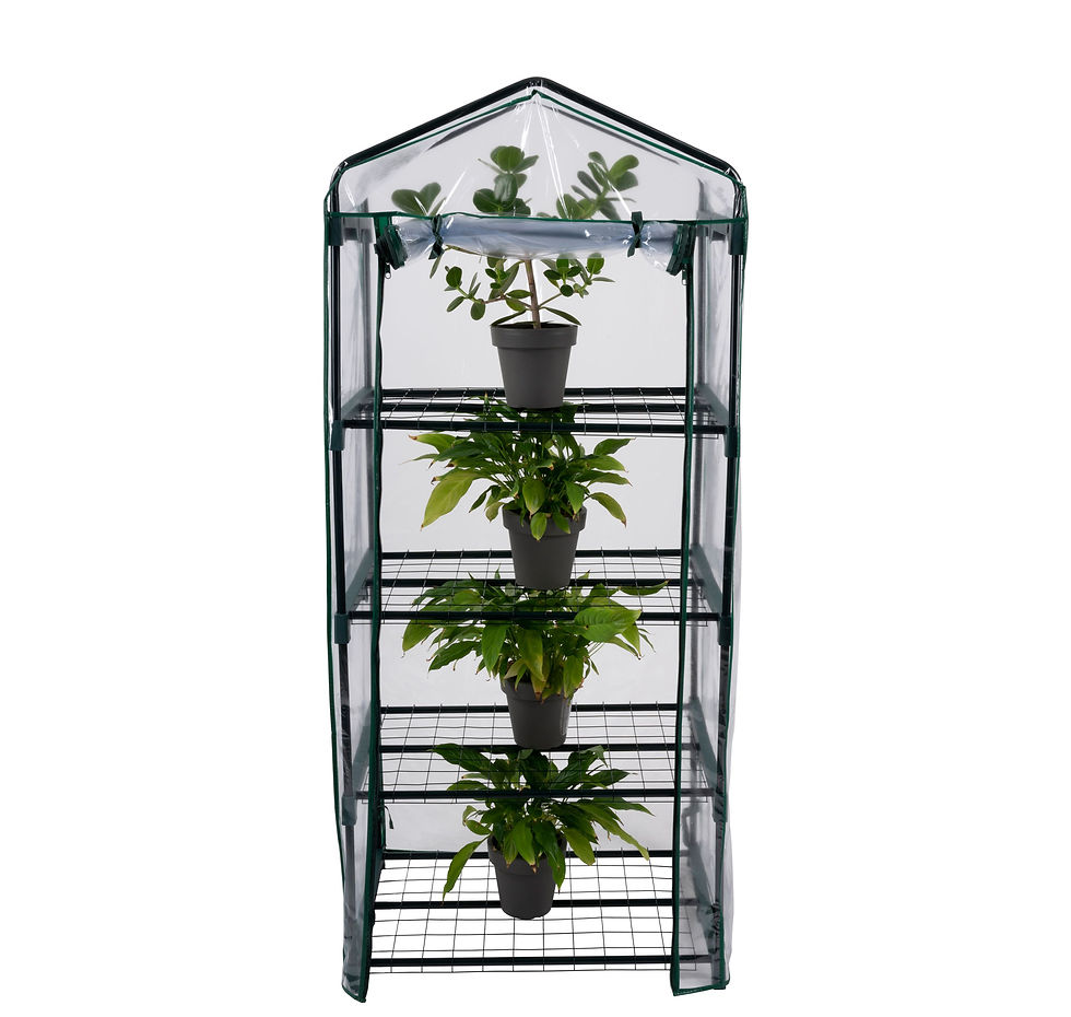 Gewächshaus 69 x 49 x 160 cm