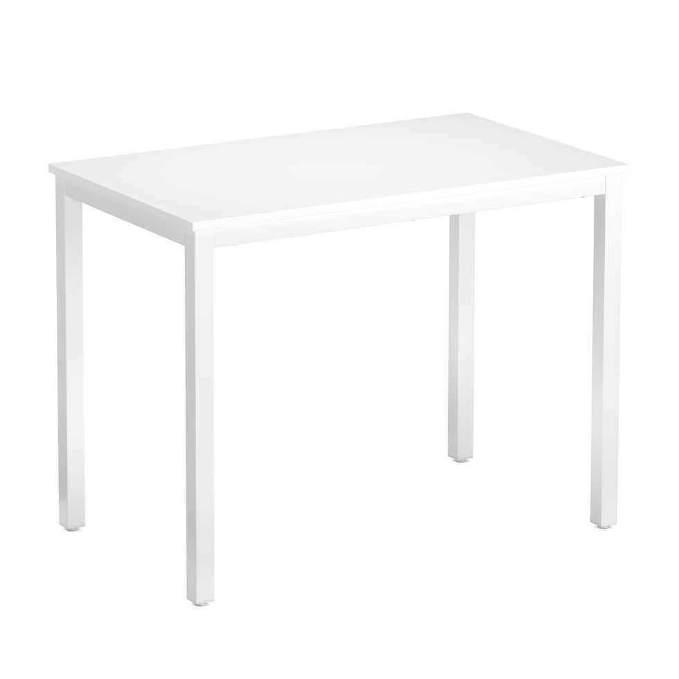 Schreibtisch THEO 100 x 60 x 75 cm weiss