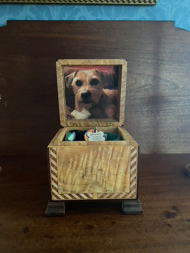 hand made curly maple pet cremains box