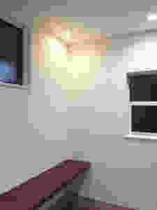 ガイナ DIY 壁塗装