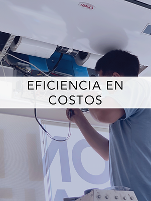 EFICIENCIA-EN-COSTOS.png