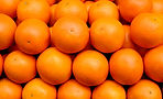 AdobeStock_42232207.jpeg