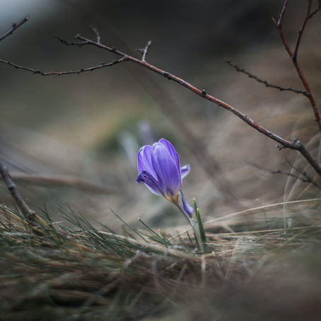 Mindfulness While Being Present in the Moment