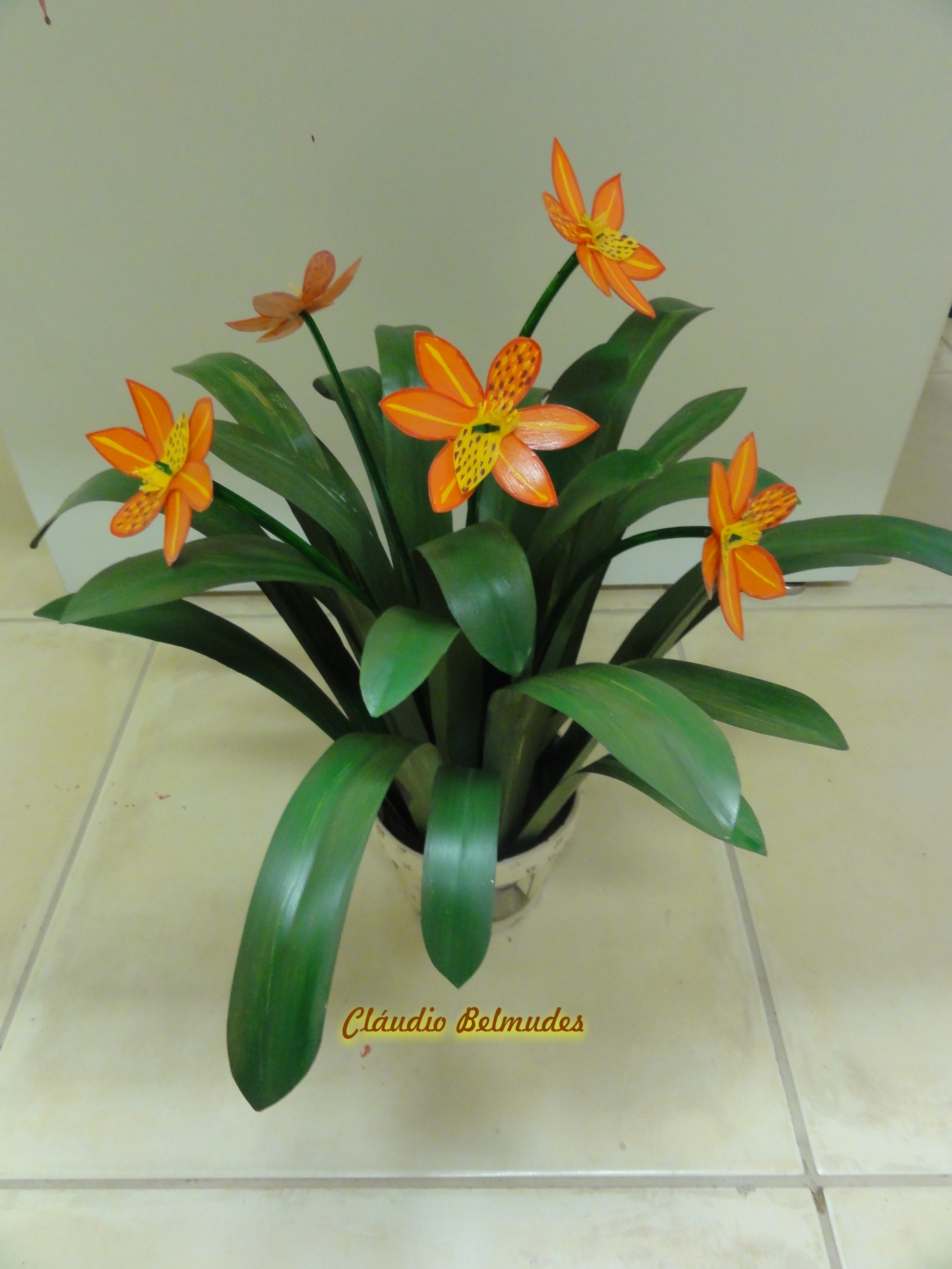 Orquídea